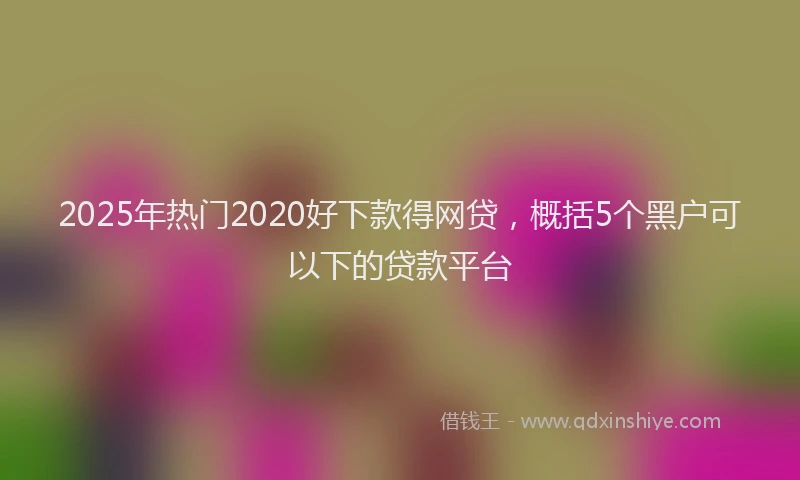 2025年热门2020好下款得网贷，概括5个黑户可以下的贷款平台