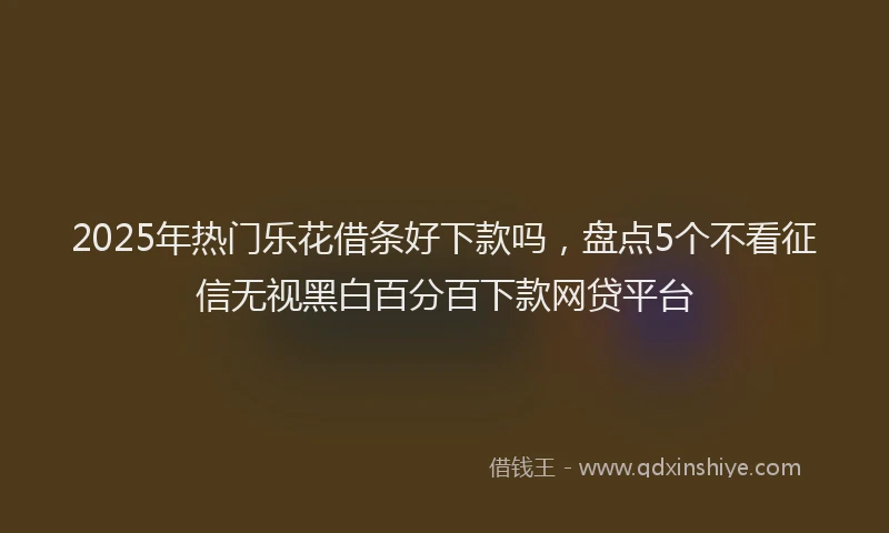 2025年热门乐花借条好下款吗，盘点5个不看征信无视黑白百分百下款网贷平台