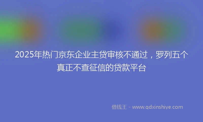 2025年热门京东企业主贷审核不通过，罗列五个真正不查征信的贷款平台