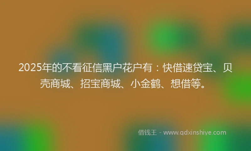 2025年的不看征信黑户花户有：快借速贷宝、贝壳商城、招宝商城、小金鹤、想借等。