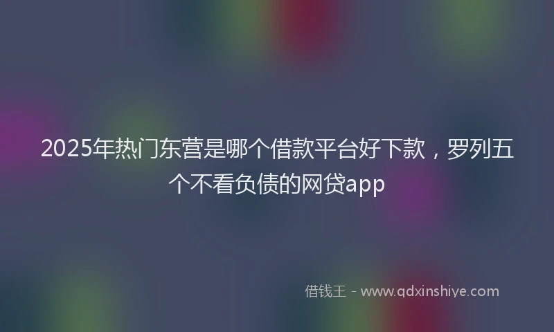 2025年热门东营是哪个借款平台好下款，罗列五个不看负债的网贷app