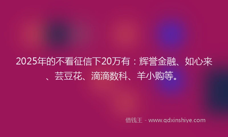 2025年的不看征信下20万有：辉誉金融、如心来、芸豆花、滴滴数科、羊小购等。