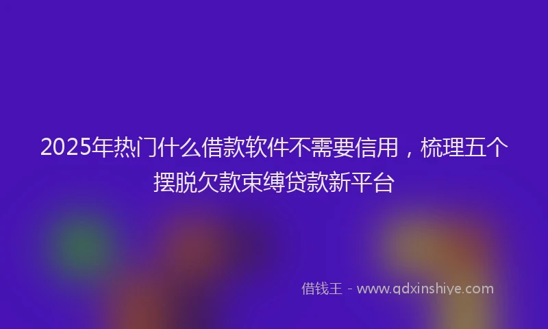 2025年热门什么借款软件不需要信用，梳理五个摆脱欠款束缚贷款新平台