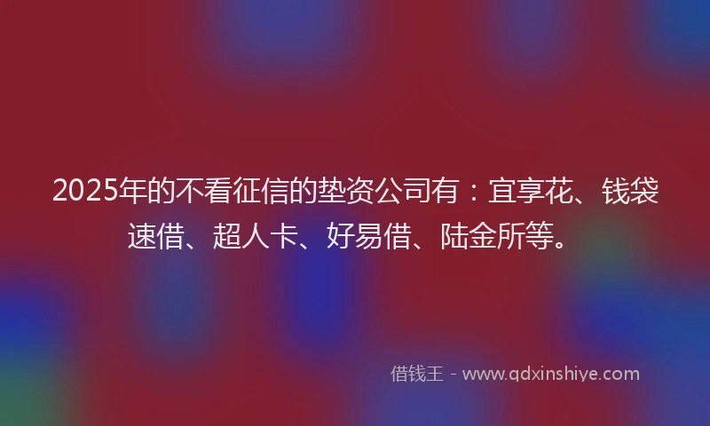 2025年的不看征信的垫资公司有：宜享花、钱袋速借、超人卡、好易借、陆金所等。