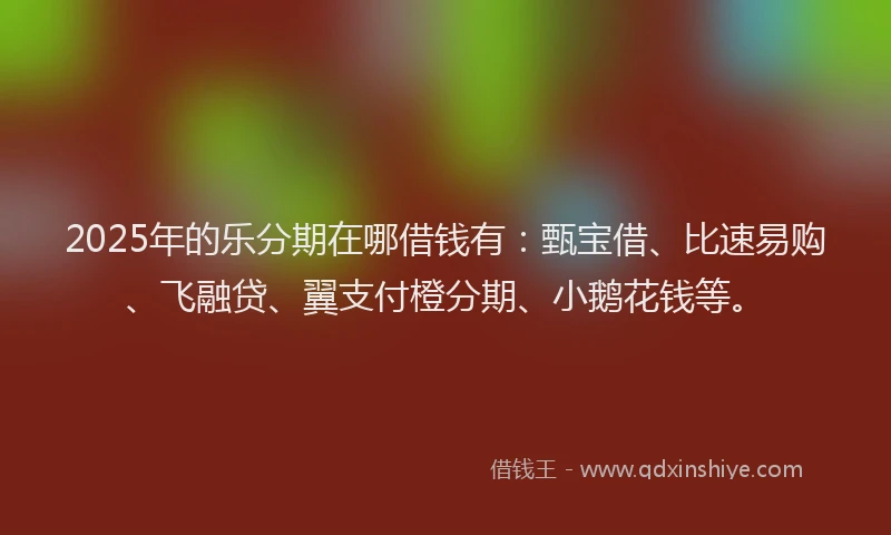 2025年的乐分期在哪借钱有：甄宝借、比速易购、飞融贷、翼支付橙分期、小鹅花钱等。