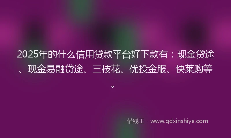 2025年的什么信用贷款平台好下款有：现金贷途、现金易融贷途、三枝花、优投金服、快莱购等。