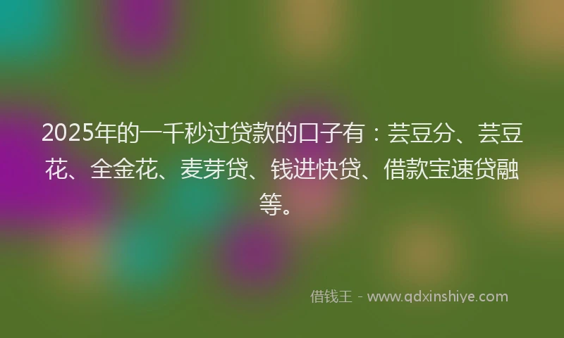 2025年的一千秒过贷款的口子有：芸豆分、芸豆花、全金花、麦芽贷、钱进快贷、借款宝速贷融等。
