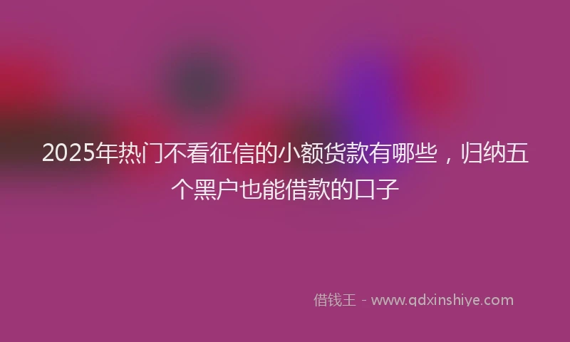 2025年热门不看征信的小额货款有哪些，归纳五个黑户也能借款的口子