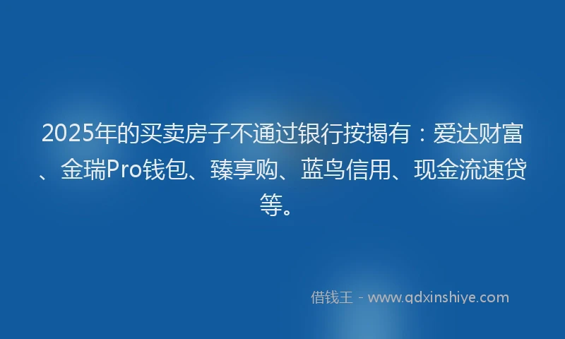 2025年的买卖房子不通过银行按揭有：爱达财富、金瑞Pro钱包、臻享购、蓝鸟信用、现金流速贷等。