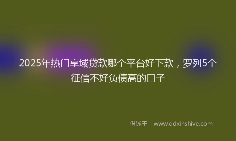 2025年热门享域贷款哪个平台好下款，罗列5个征信不好负债高的口子