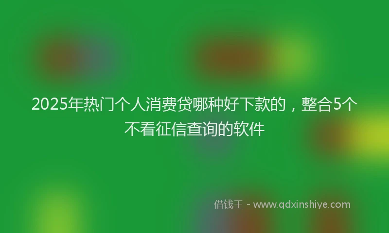 2025年热门个人消费贷哪种好下款的，整合5个不看征信查询的软件