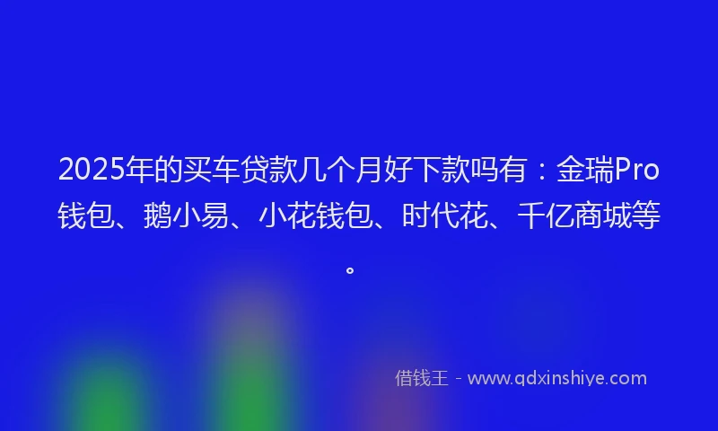 2025年的买车贷款几个月好下款吗有：金瑞Pro钱包、鹅小易、小花钱包、时代花、千亿商城等。