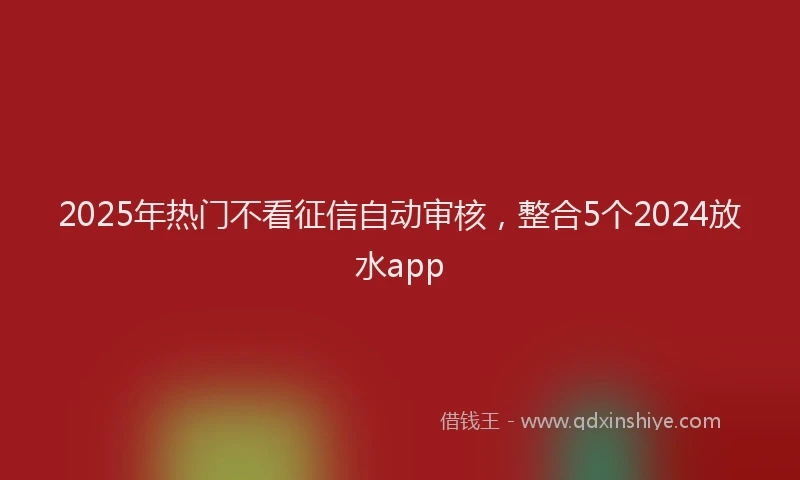 2025年热门不看征信自动审核，整合5个2024放水app