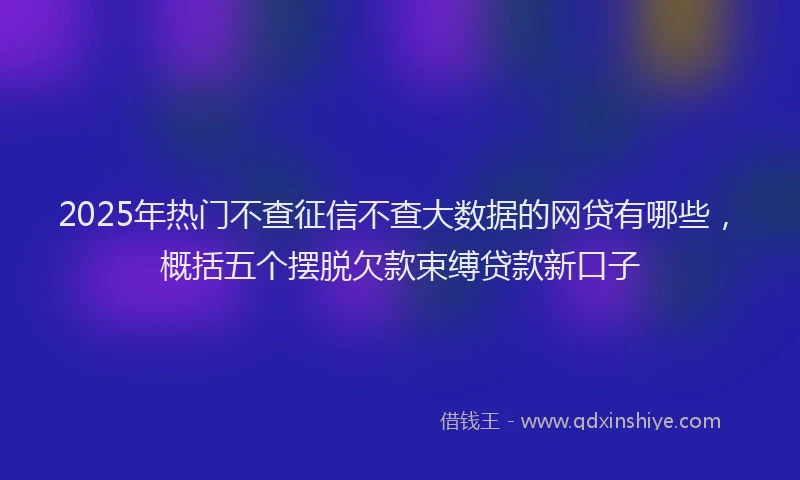 2025年热门不查征信不查大数据的网贷有哪些，概括五个摆脱欠款束缚贷款新口子