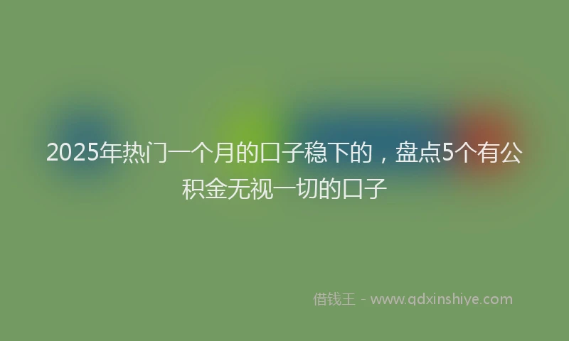 2025年热门一个月的口子稳下的，盘点5个有公积金无视一切的口子