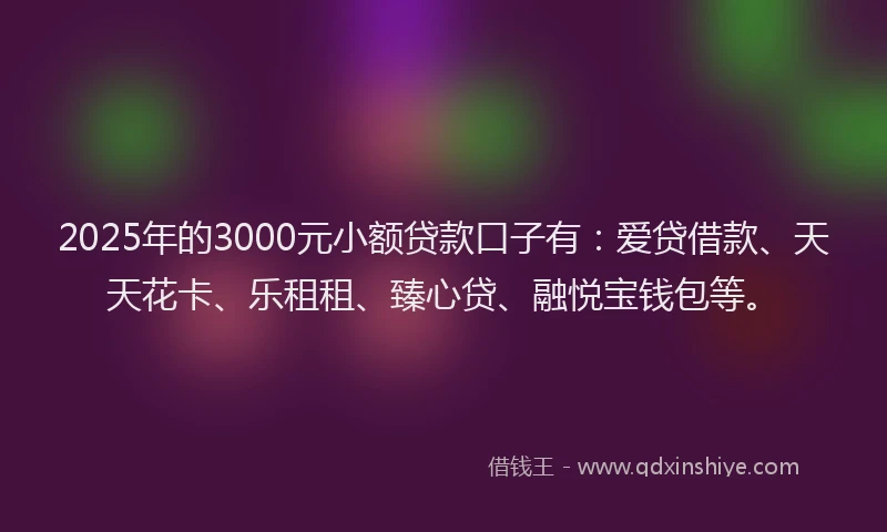 2025年的3000元小额贷款口子有：爱贷借款、天天花卡、乐租租、臻心贷、融悦宝钱包等。