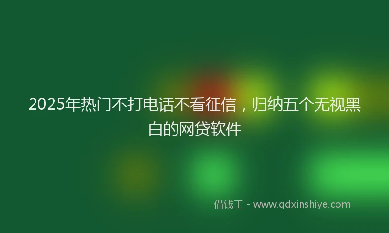 2025年热门不打电话不看征信，归纳五个无视黑白的网贷软件