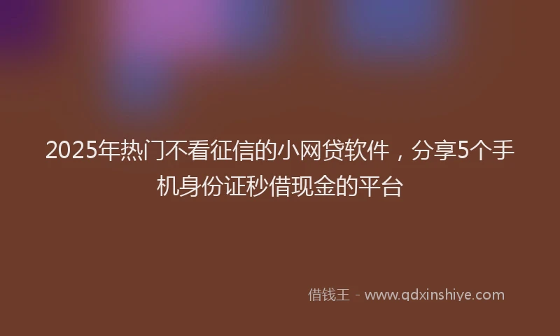 2025年热门不看征信的小网贷软件，分享5个手机身份证秒借现金的平台