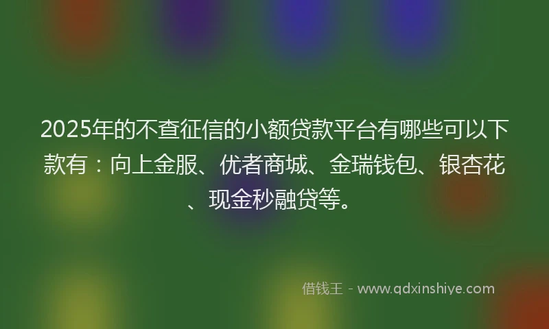 2025年的不查征信的小额贷款平台有哪些可以下款有：向上金服、优者商城、金瑞钱包、银杏花、现金秒融贷等。