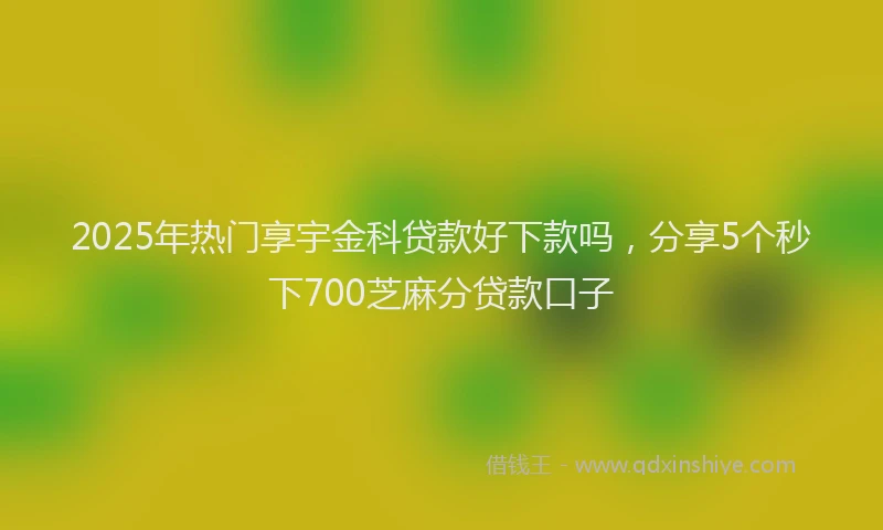 2025年热门享宇金科贷款好下款吗，分享5个秒下700芝麻分贷款口子