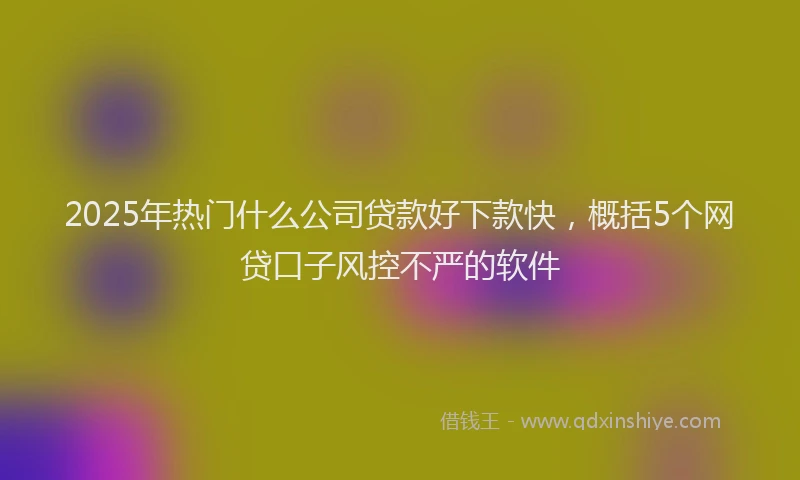 2025年热门什么公司贷款好下款快，概括5个网贷口子风控不严的软件