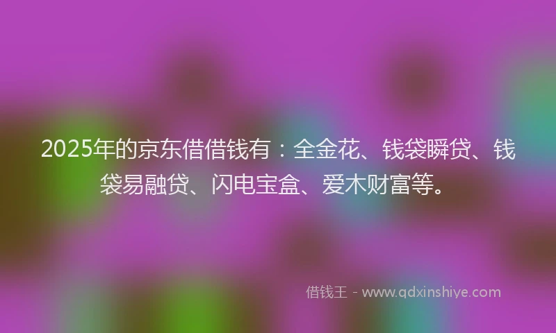 2025年的京东借借钱有：全金花、钱袋瞬贷、钱袋易融贷、闪电宝盒、爱木财富等。