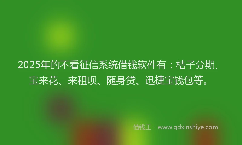 2025年的不看征信系统借钱软件有：桔子分期、宝来花、来租呗、随身贷、迅捷宝钱包等。