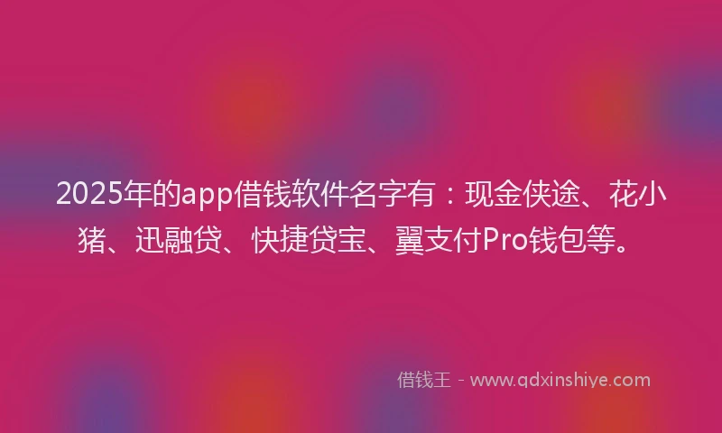 2025年的app借钱软件名字有：现金侠途、花小猪、迅融贷、快捷贷宝、翼支付Pro钱包等。