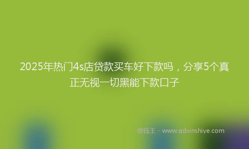 2025年热门4s店贷款买车好下款吗，分享5个真正无视一切黑能下款口子
