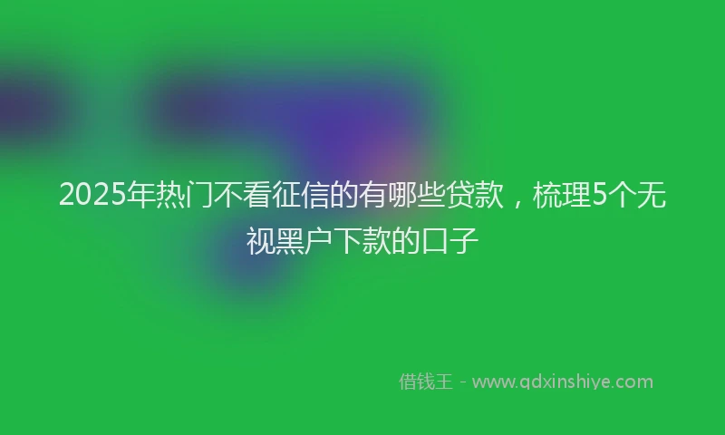 2025年热门不看征信的有哪些贷款，梳理5个无视黑户下款的口子