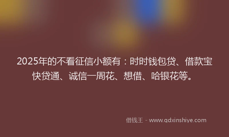 2025年的不看征信小额有：时时钱包贷、借款宝快贷通、诚信一周花、想借、哈银花等。