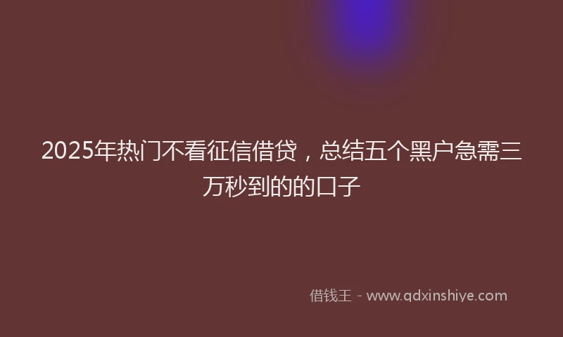 2025年热门不看征信借贷，总结五个黑户急需三万秒到的的口子