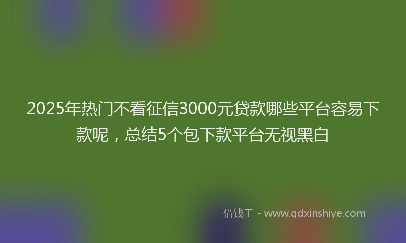 2025年热门不看征信3000元贷款哪些平台容易下款呢，总结5个包下款平台无视黑白