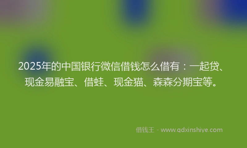 2025年的中国银行微信借钱怎么借有：一起贷、现金易融宝、借蛙、现金猫、森森分期宝等。