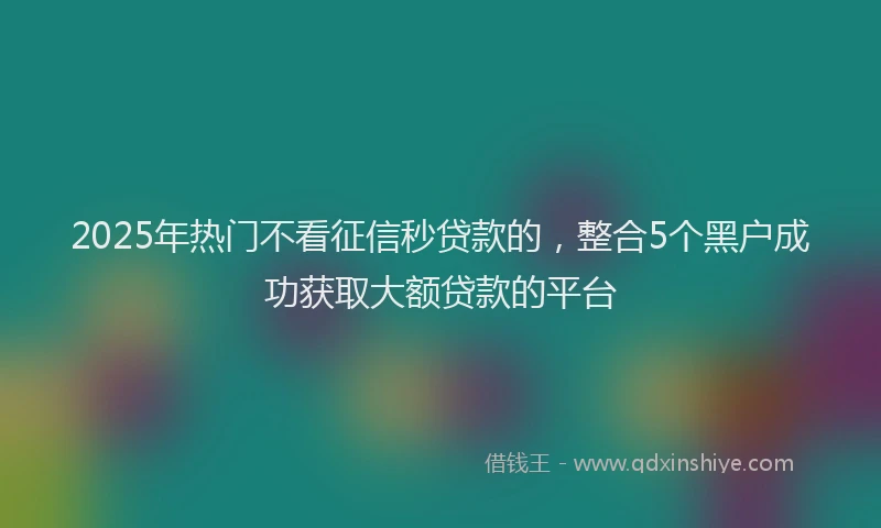 2025年热门不看征信秒贷款的，整合5个黑户成功获取大额贷款的平台