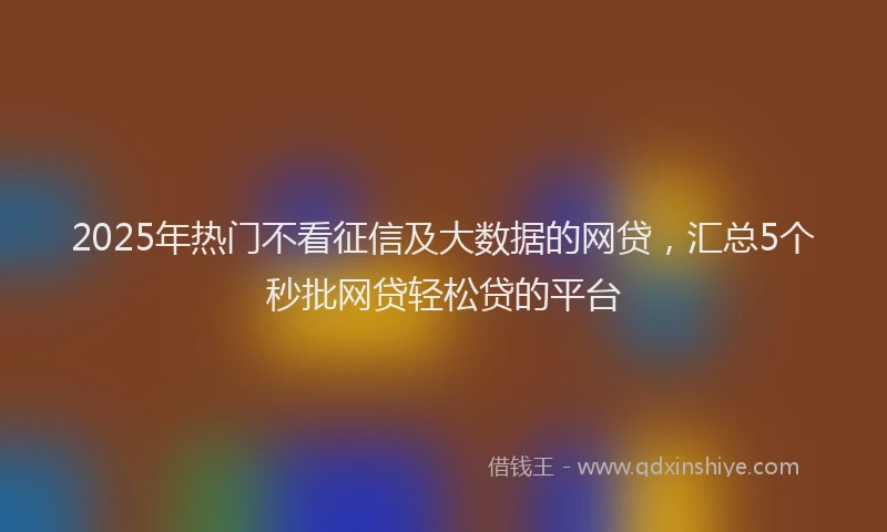 2025年热门不看征信及大数据的网贷，汇总5个秒批网贷轻松贷的平台