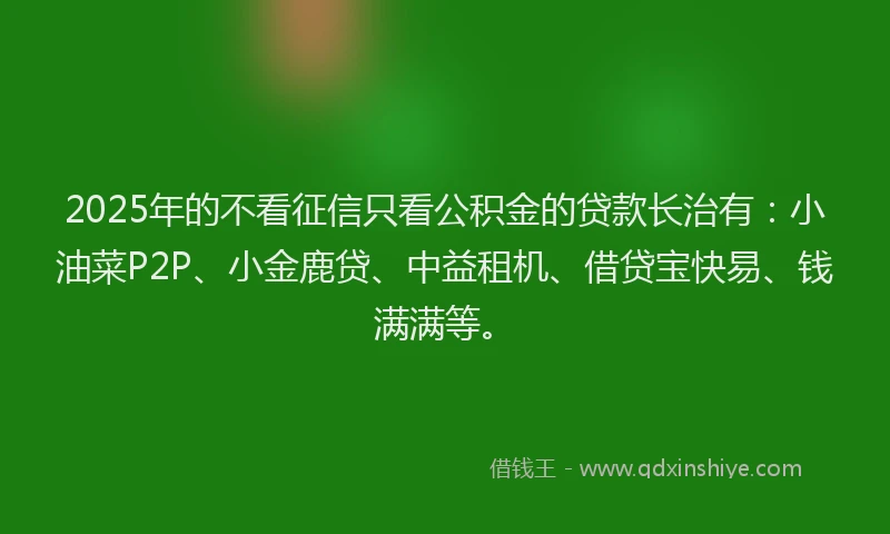 2025年的不看征信只看公积金的贷款长治有：小油菜P2P、小金鹿贷、中益租机、借贷宝快易、钱满满等。