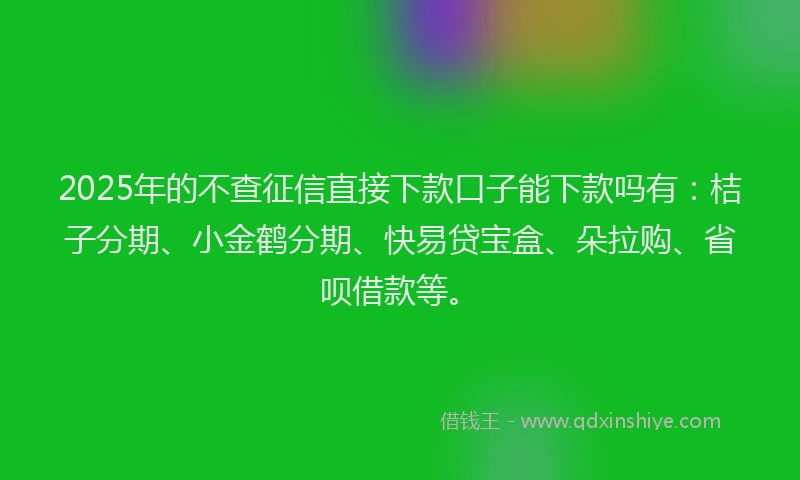 2025年的不查征信直接下款口子能下款吗有：桔子分期、小金鹤分期、快易贷宝盒、朵拉购、省呗借款等。
