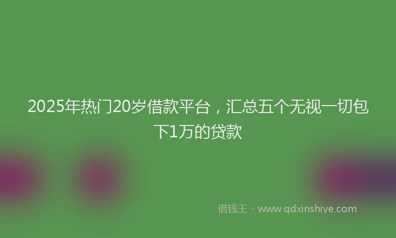 2025年热门20岁借款平台，汇总五个无视一切包下1万的贷款