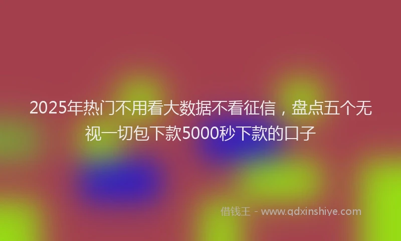 2025年热门不用看大数据不看征信，盘点五个无视一切包下款5000秒下款的口子