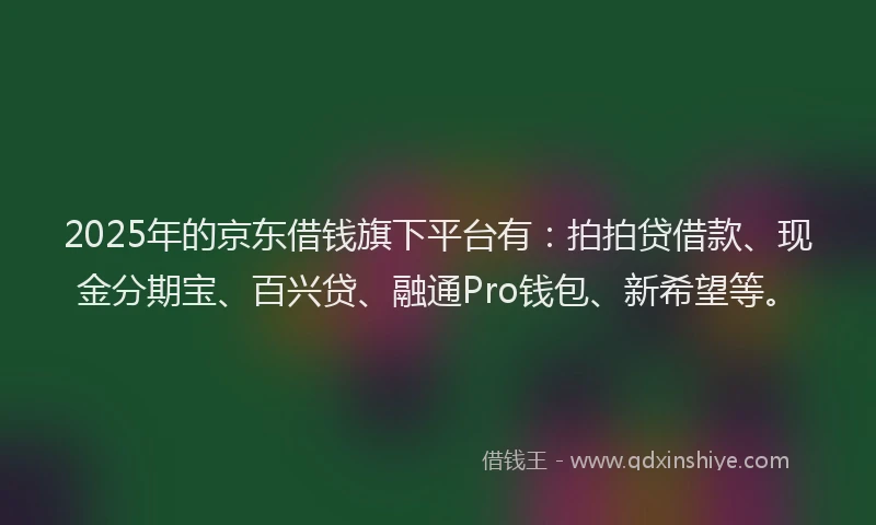 2025年的京东借钱旗下平台有：拍拍贷借款、现金分期宝、百兴贷、融通Pro钱包、新希望等。