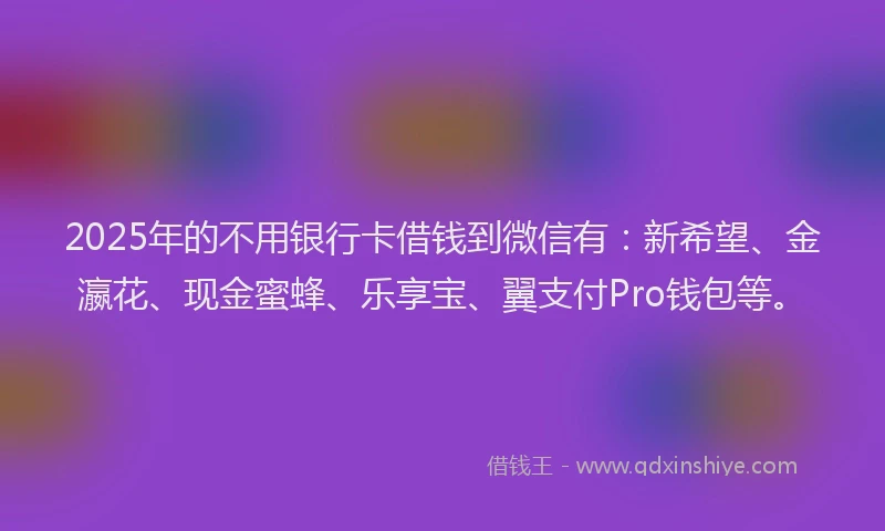 2025年的不用银行卡借钱到微信有：新希望、金瀛花、现金蜜蜂、乐享宝、翼支付Pro钱包等。