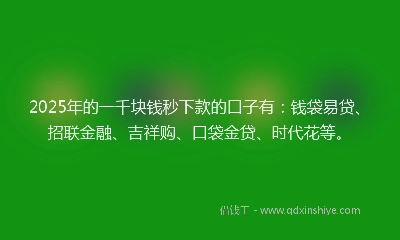2025年的一千块钱秒下款的口子有：钱袋易贷、招联金融、吉祥购、口袋金贷、时代花等。