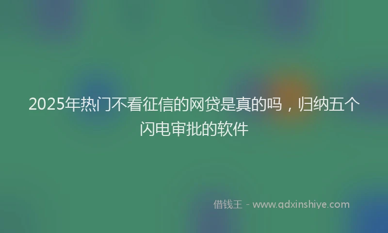 2025年热门不看征信的网贷是真的吗，归纳五个闪电审批的软件