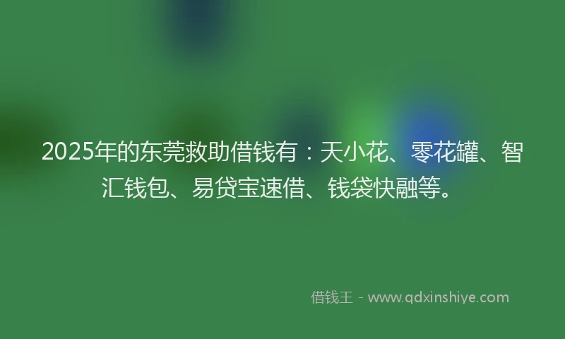 2025年的东莞救助借钱有：天小花、零花罐、智汇钱包、易贷宝速借、钱袋快融等。