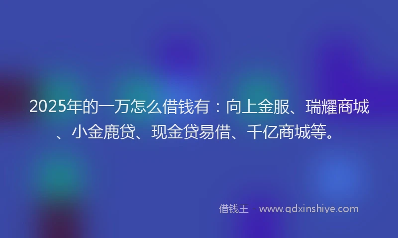2025年的一万怎么借钱有：向上金服、瑞耀商城、小金鹿贷、现金贷易借、千亿商城等。