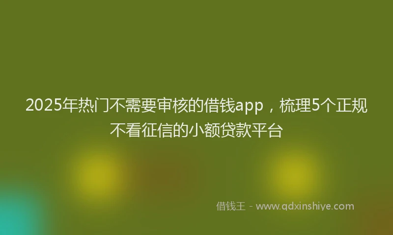 2025年热门不需要审核的借钱app，梳理5个正规不看征信的小额贷款平台