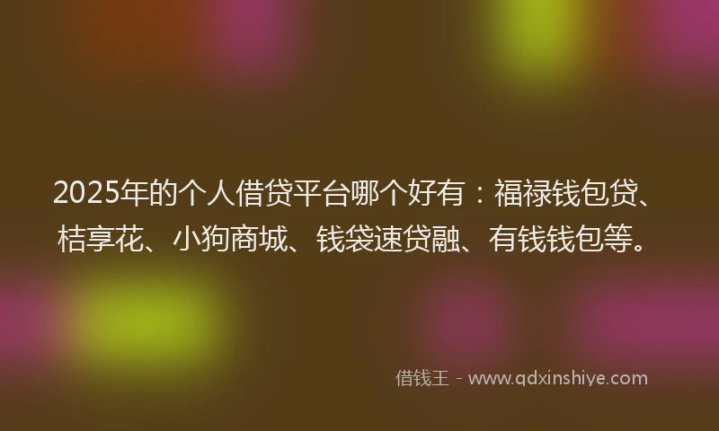 2025年的个人借贷平台哪个好有：福禄钱包贷、桔享花、小狗商城、钱袋速贷融、有钱钱包等。