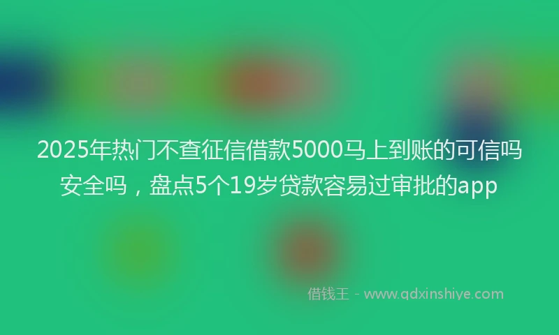 2025年热门不查征信借款5000马上到账的可信吗安全吗，盘点5个19岁贷款容易过审批的app