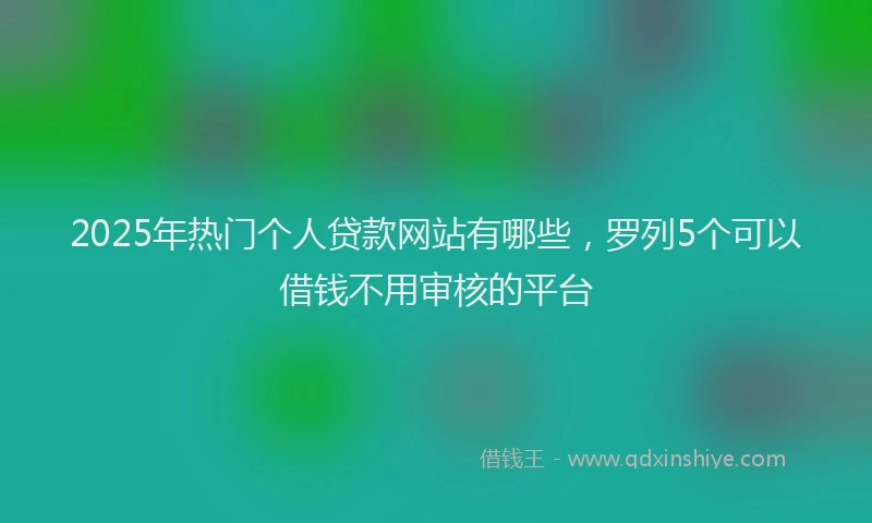 2025年热门个人贷款网站有哪些，罗列5个可以借钱不用审核的平台